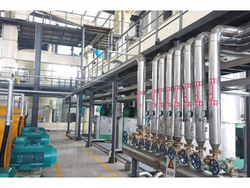 Vegetable Oil Pretreatment and Pressing Line