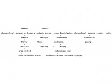 Cottonseed Protein Production Line