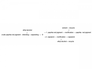 Natural Pigment Extraction Line