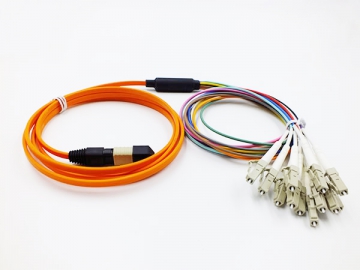 MTP/MPO Patch Cord