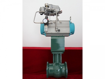 Control Valves