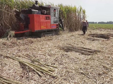 Sugarcane Harvester