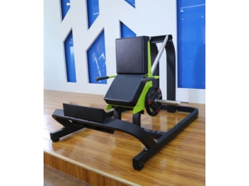 Plate Loaded Calf Raise AXD-745