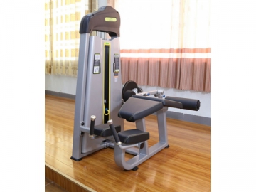 Prone Leg Curl AXD-5001