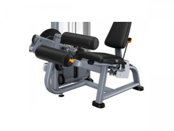 Seated Leg Curl AXD-5002