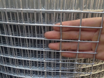 Welded Wire Mesh Rolls