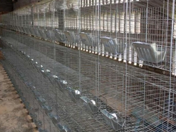 Rabbit Cage