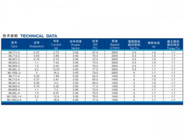 Electric Motor, ML Series