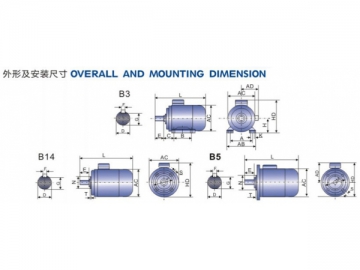 Electric Motor, MS Series