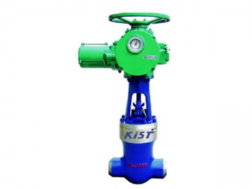 Power Station Gate Valve