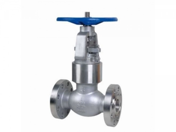 Power Station Globe Valve