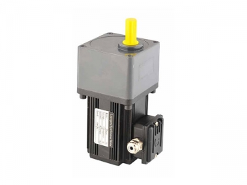 Micro Gear Reducer Motor