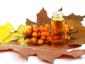 Sea buckthorn berry oil