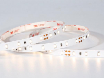 Classical 2835 flexible LED Strip