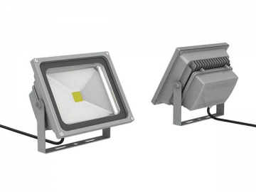 Promotional Flood Light