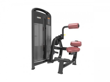 TZ-4006 Back Extension Machine