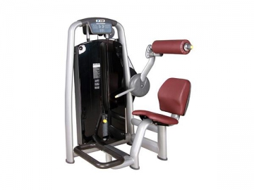 TZ-6006 Back Extension Machine