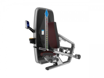 T-036 Triceps Dip Machine