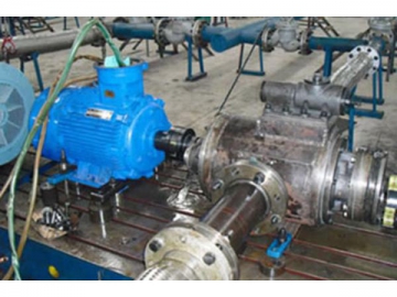 Cam Rotor Pump