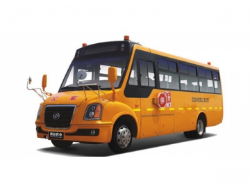 DD6800C05FX School Bus