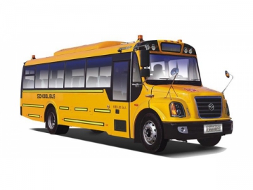 DD6100C06FX School Bus