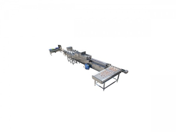 300A  Egg Processing  Line with Cleaning & Grading (3000 EGGS/HOUR)