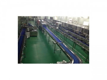 Industrial Conveying System